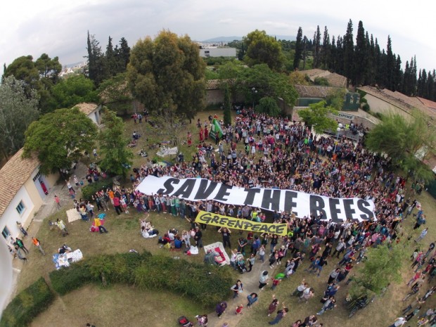 Greenpeace Greece bee festival participants with Save the Bees banner