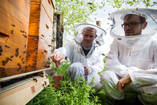 Dirk Zimmermann (right), Greenpeace campaigner for sustainable agriculture, and beekeeper Dr. Simon Bach, observe the bees entering the hive.