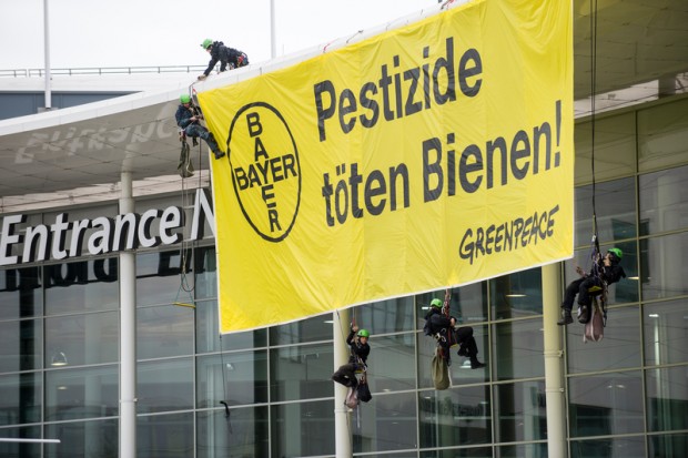 Greenpeace activists protest against bee-killing pesticides with a large banner displayed from the roof of the Cologne Fair building
