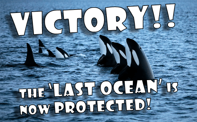 Image for VICTORY! Massive new Ocean Sanctuary established off Antarctica!