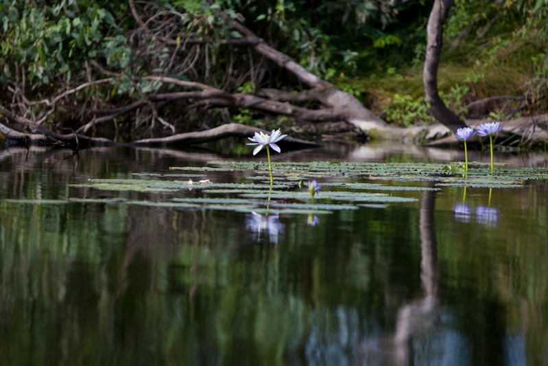 Image for In pictures: Wonderful Wetlands, celebrating World Wetlands Day