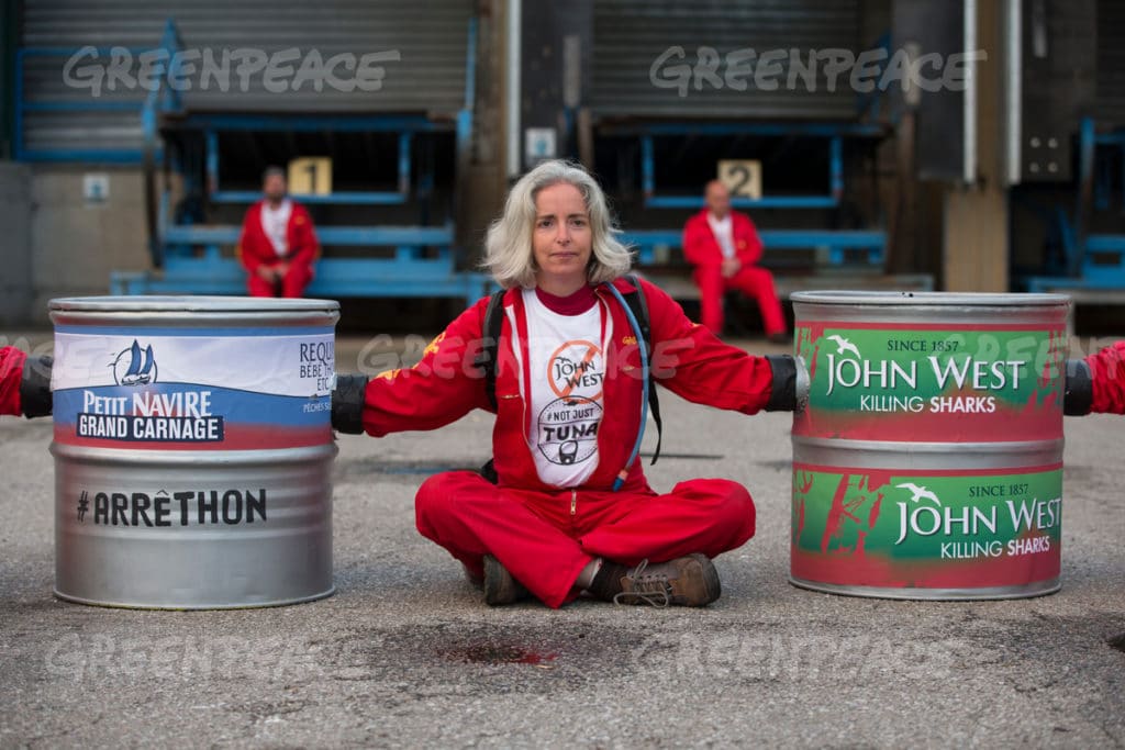 Image for Greenpeace volunteers confront destructive fishing