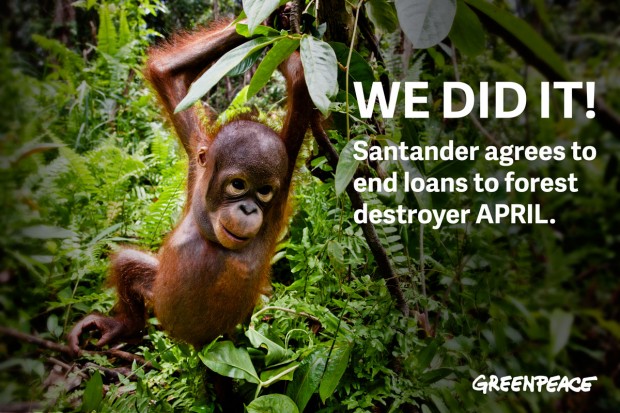 Image for Result: Santander stops financing forest destroyer APRIL