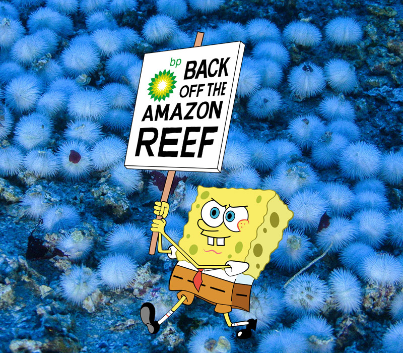 Image for Why SpongeBob is the perfect champion for the Amazon Reef