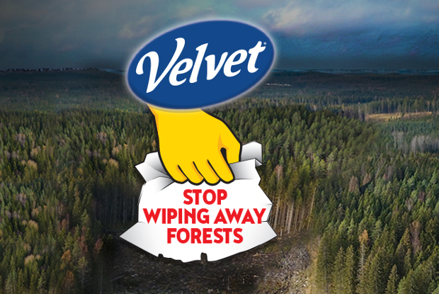 Image for Tell Velvet to Stop Wiping Away the Great Northern Forest