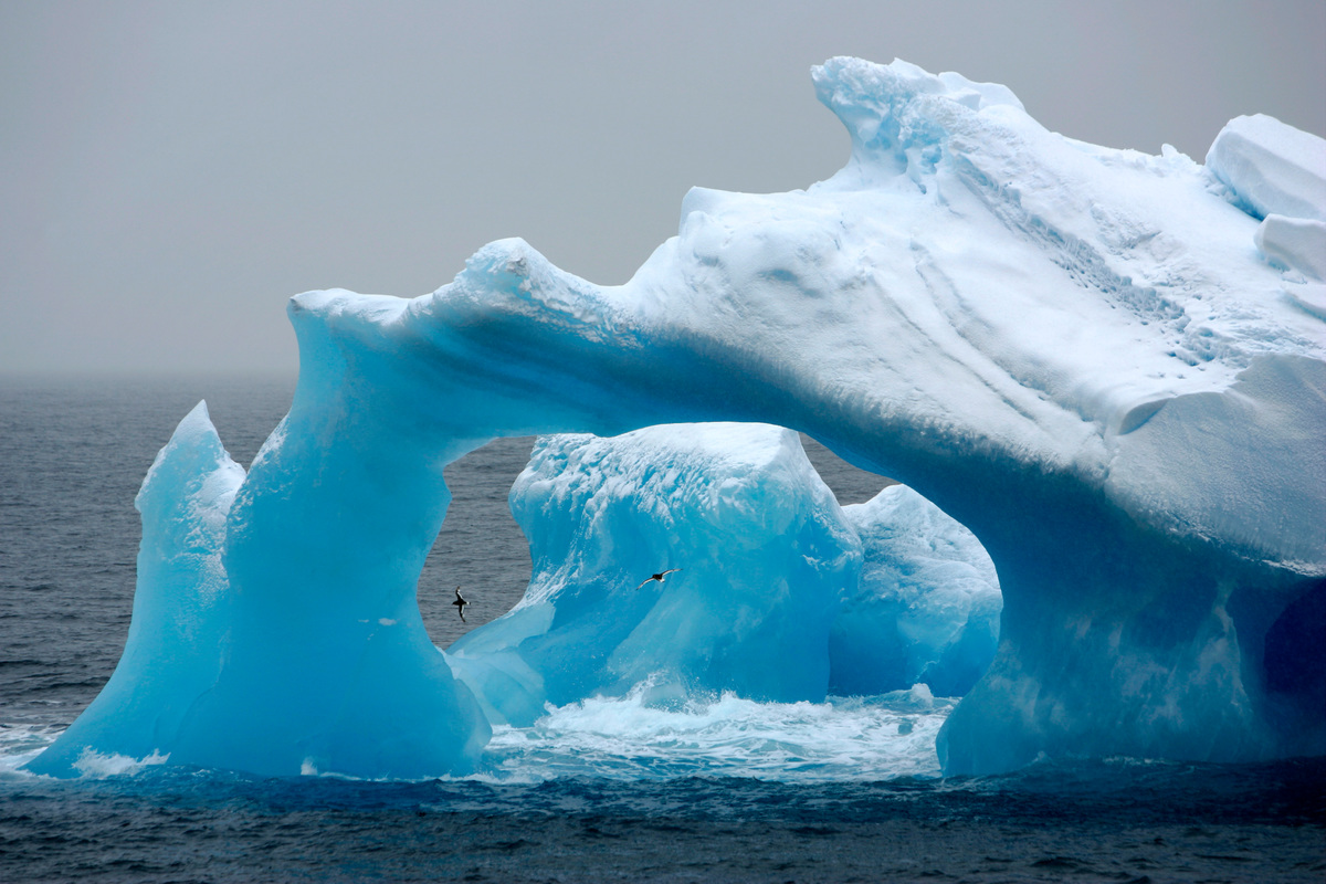 Image for Setting Sail to protect the Antarctic