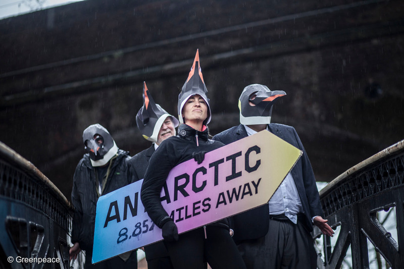 Image for In pictures: penguins rise up across the UK to call for Antarctic protection