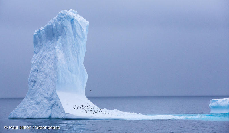 Small black specks cluster at the bottom of a tall rectangular iceberg in the middle of the ocean