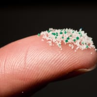 Close up of microbeads on a fingertip