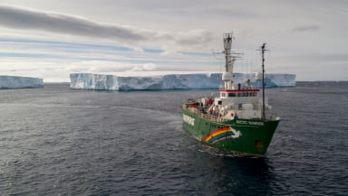 Greenpeace ship sailing through large icebergs