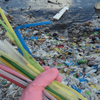 A rubber-gloved hand holding a load of straws, with a horribly plastic-polluted waterway in the background