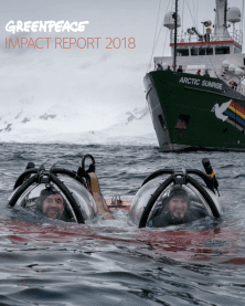 Impact report cover image