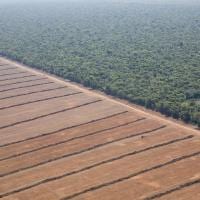 aerial view of farm in Amazon