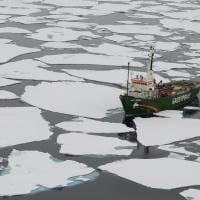 Greenpeace ship amidst ice floes in the Arctic