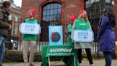 Volunteers campaigning for greenpeace