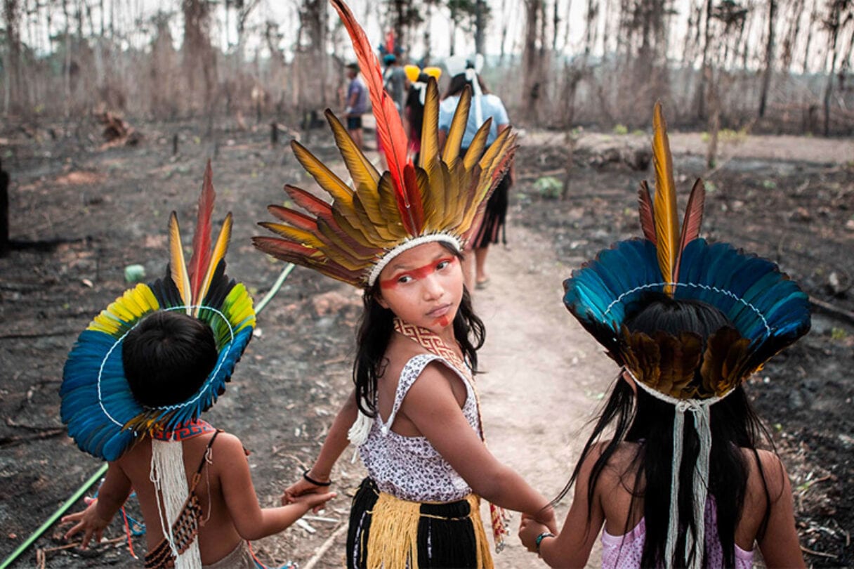 Three children in traditional Indigenous feathered headdresses walk hand in hand through a burned forest landscape. The middle child looks back towards the camera with a serious expression