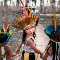 Three children in traditional Indigenous feathered headdresses walk hand in hand through a burned forest landscape. The middle child looks back towards the camera with a serious expression