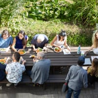 Overhead view of Greenpeace staff sitting at a picnic table in a lush garden, with plates of healthy food