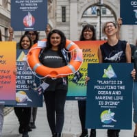 A group of Greenpeace activists walk towards the camera holding up colourful placards calling for action on ocean protection. They're smiling and laughing.