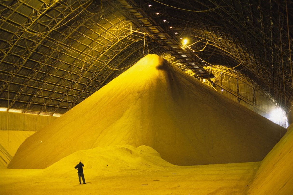 A person is dwarfed by a gigantic pile of soya in an industrial silo