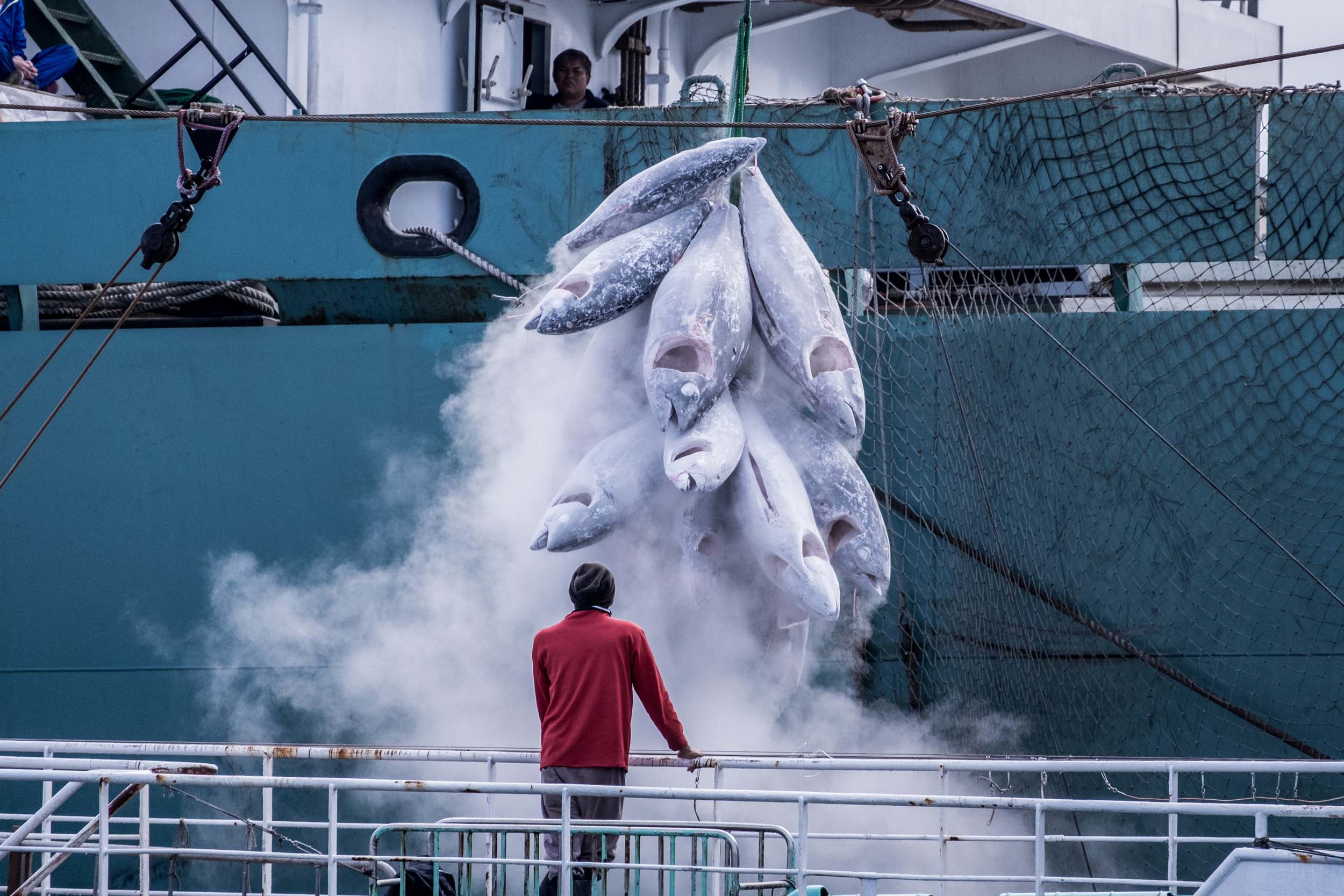 Frozen tuna being transferred from a Taiwanese longliner to a Panama-flagged reefer operating out of Tokyo.