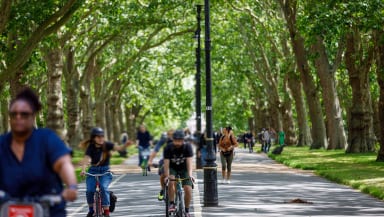 People on bikes ride along a wide, tree-lined pathway through a park