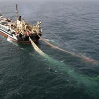 Aerial view of a giant fishing ship with a net trailing behind it