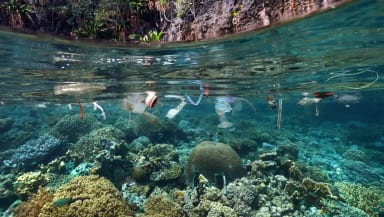 Semi-submerged view of plastic rubbish floating on the surface of a shallow ocean with beautiful corals on the bottom.