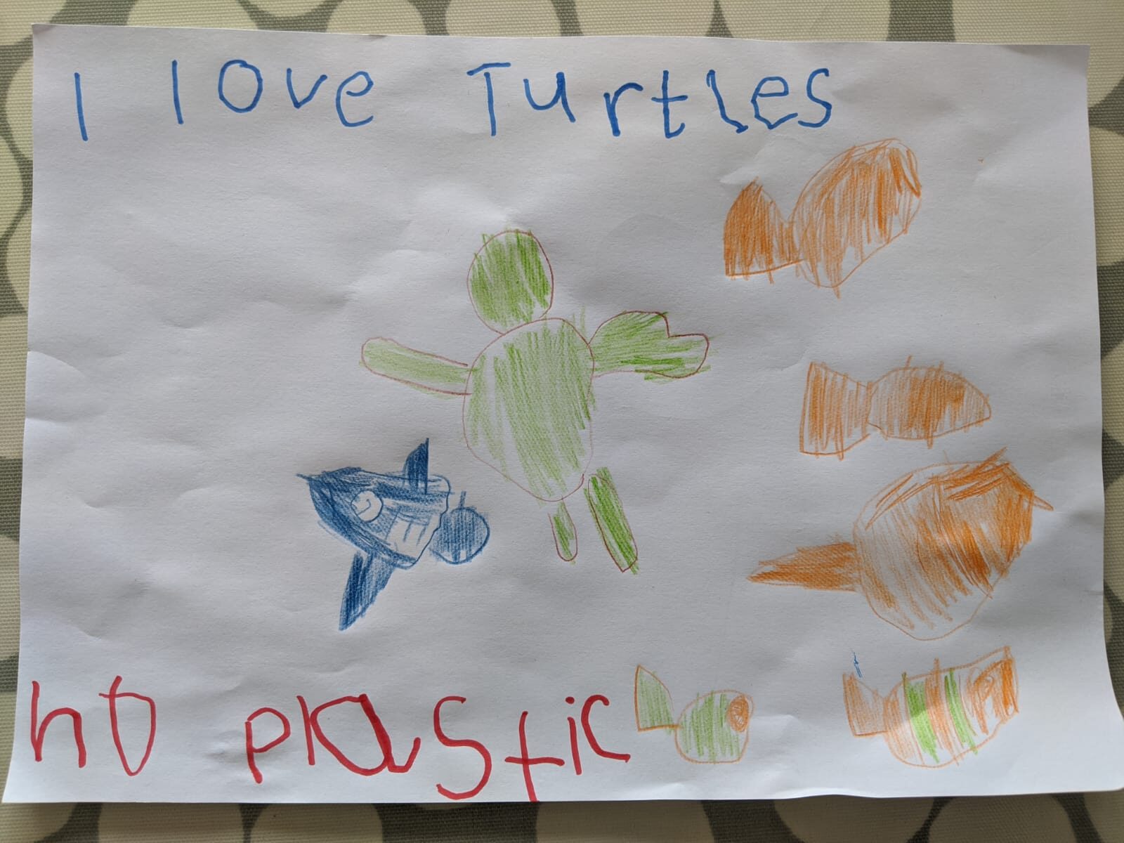 Hand-drawn poster showing a turtle and other sea creatures. Text reads 