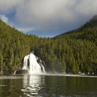A waterfall runs out from a densely-forested hillside and into a calm lake in the Great Bear Rainforest