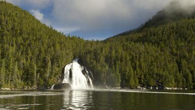 A waterfall runs out from a densely-forested hillside and into a calm lake in the Great Bear Rainforest