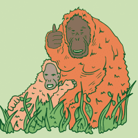 Illustration of an orangutan with a baby. It's giving a thumbs up to the camera and looks slightly unhinged