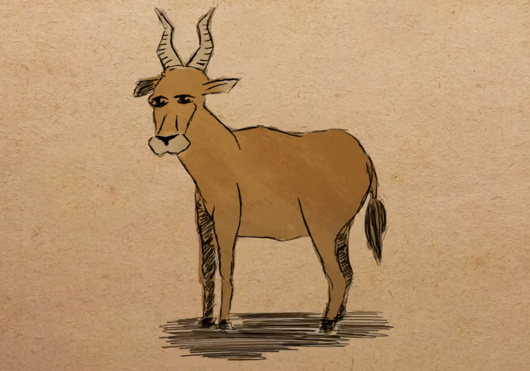 Illustration of a bubal hartebeest. It has wavy horns like an ibex.