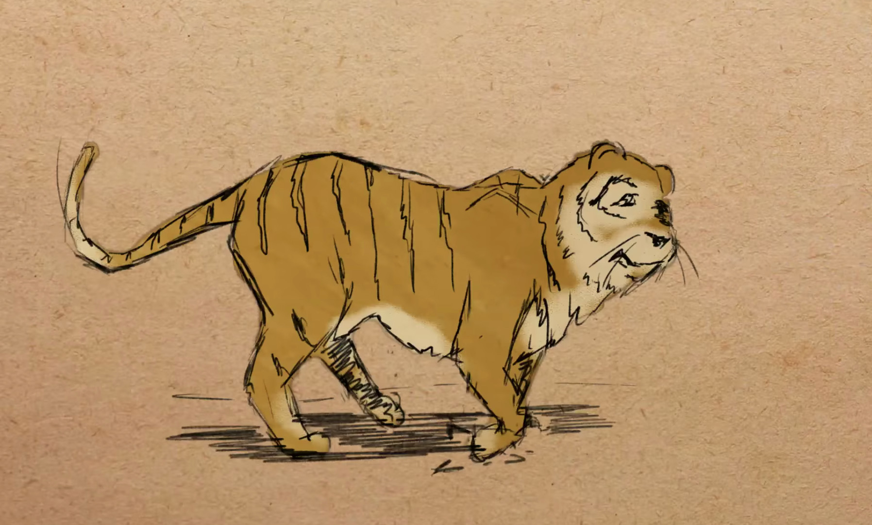 Illustration of an extinct caspian tiger