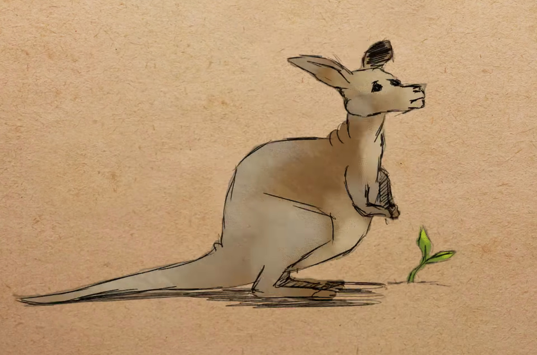 Illustration of a crescent nail-tail wallaby