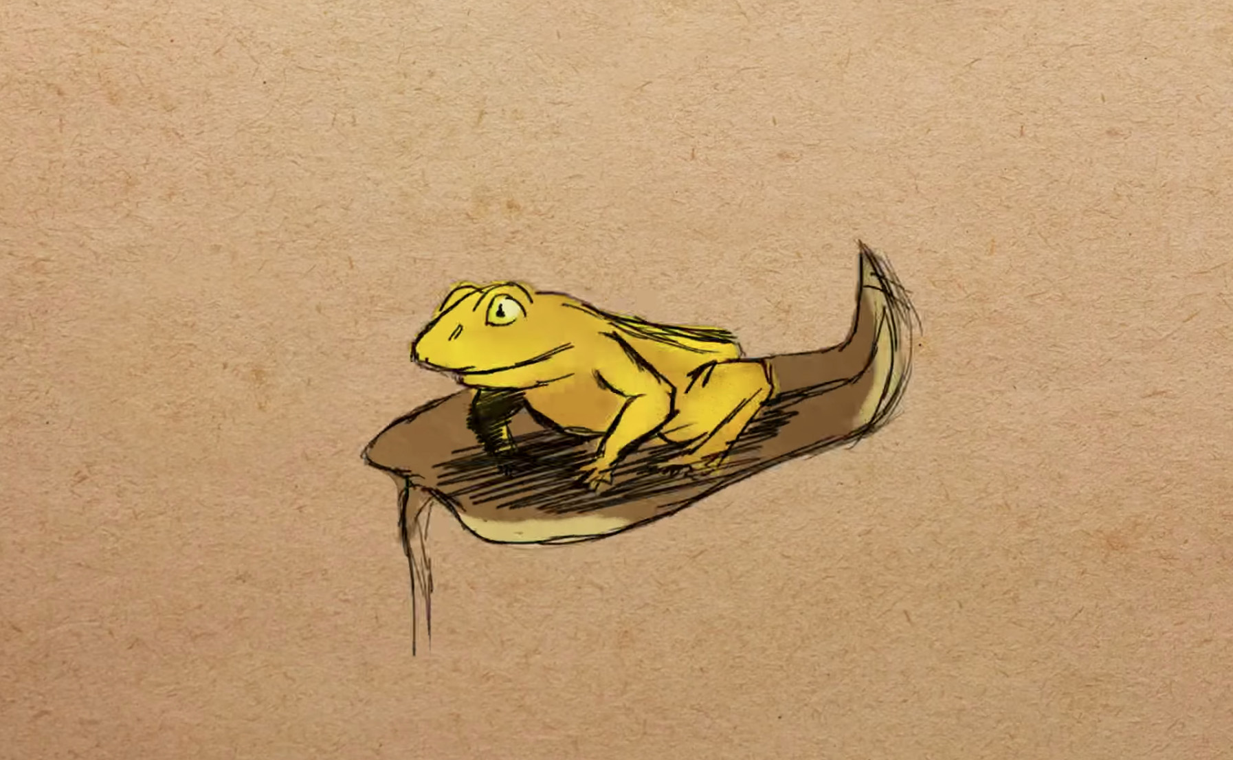 Illustration of an extinct golden toad
