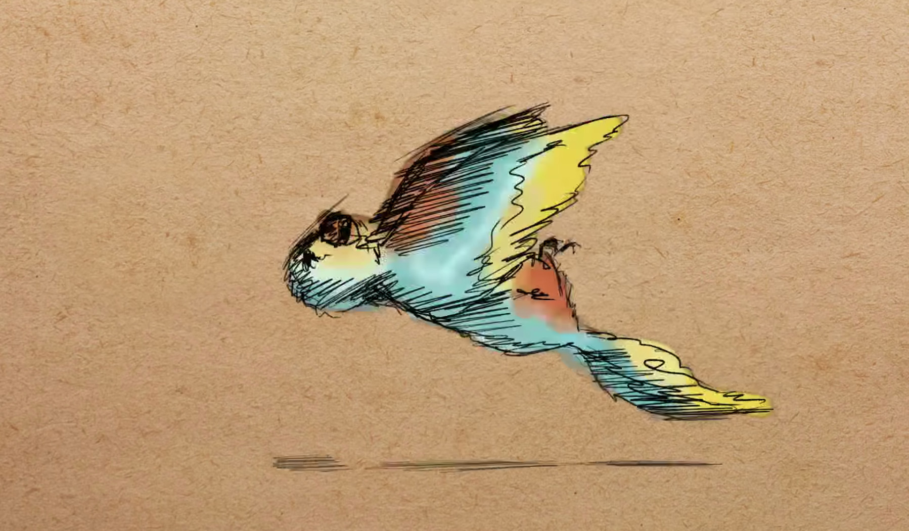 Illustration of a paradise parrot