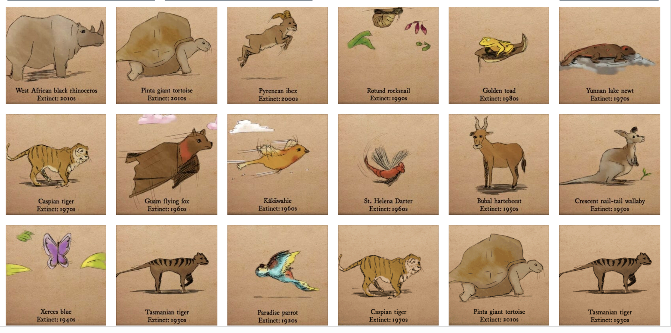 18 animals that went extinct in the last century | Greenpeace UK