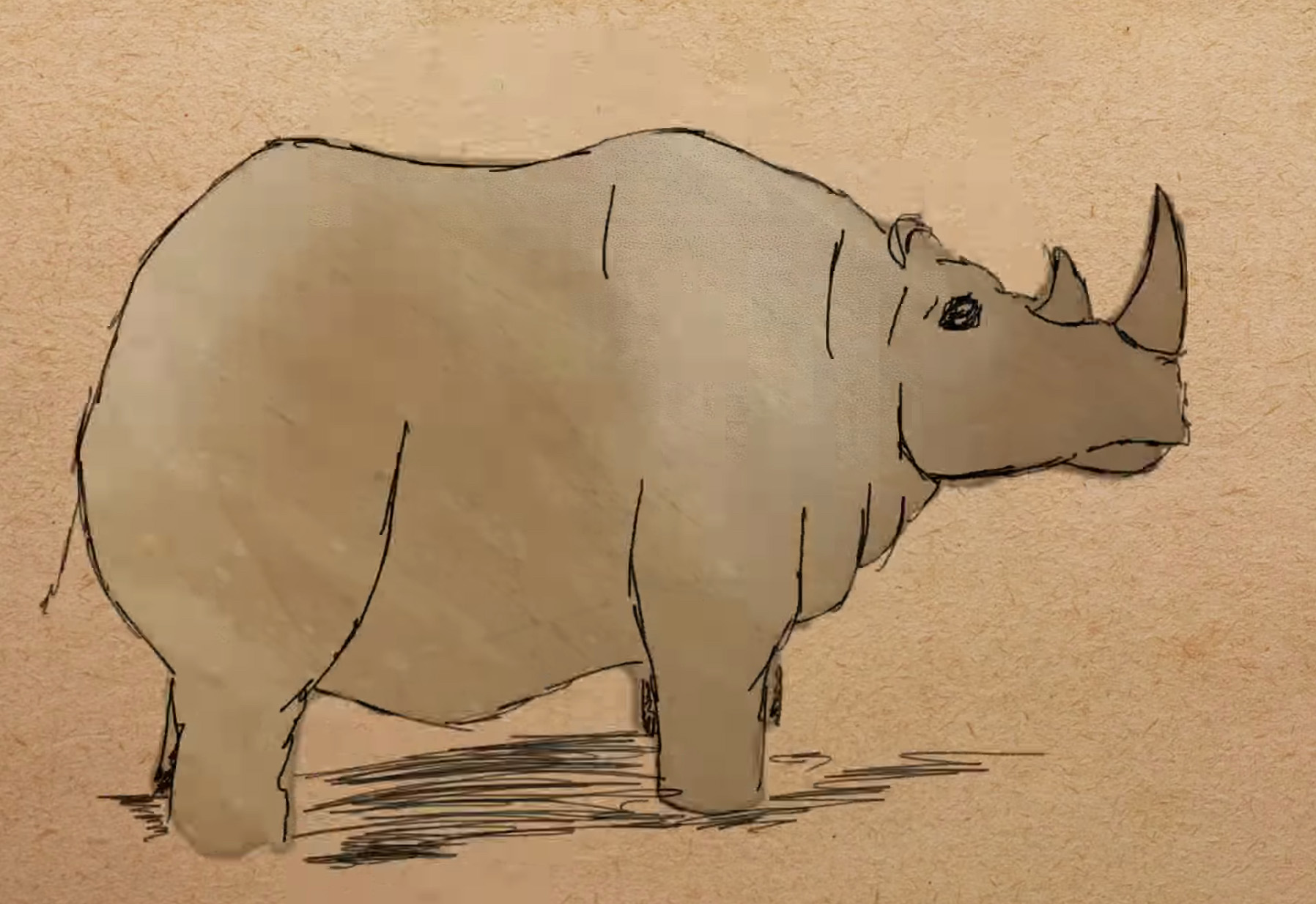 Illustration of a west african black rhino