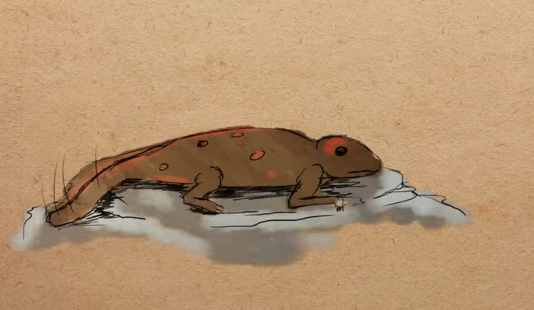 Illustration of an extinct yunnan lake newt. It's dark brown with red-orange patches.