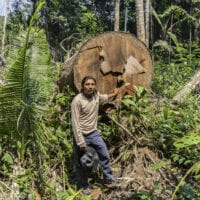 An Indigenous man stands in front of a fallen tree with a serious expression.