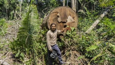 An Indigenous man stands in front of a fallen tree with a serious expression.