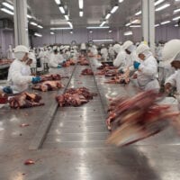 Workers in overalls cut up pieces of meat on a stainless steel production line