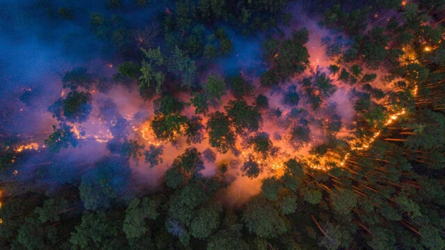 Overhead view of a forest with a band of orange flames spreading through the trees