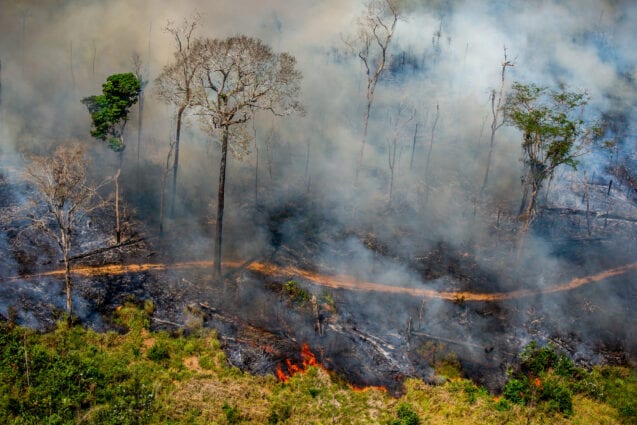 Aerial shot of a blackened and smouldering rainforest