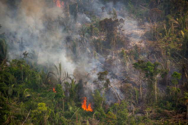 Aerial view of a lush forest on fire, with clouds of smoke rising from the canopy.