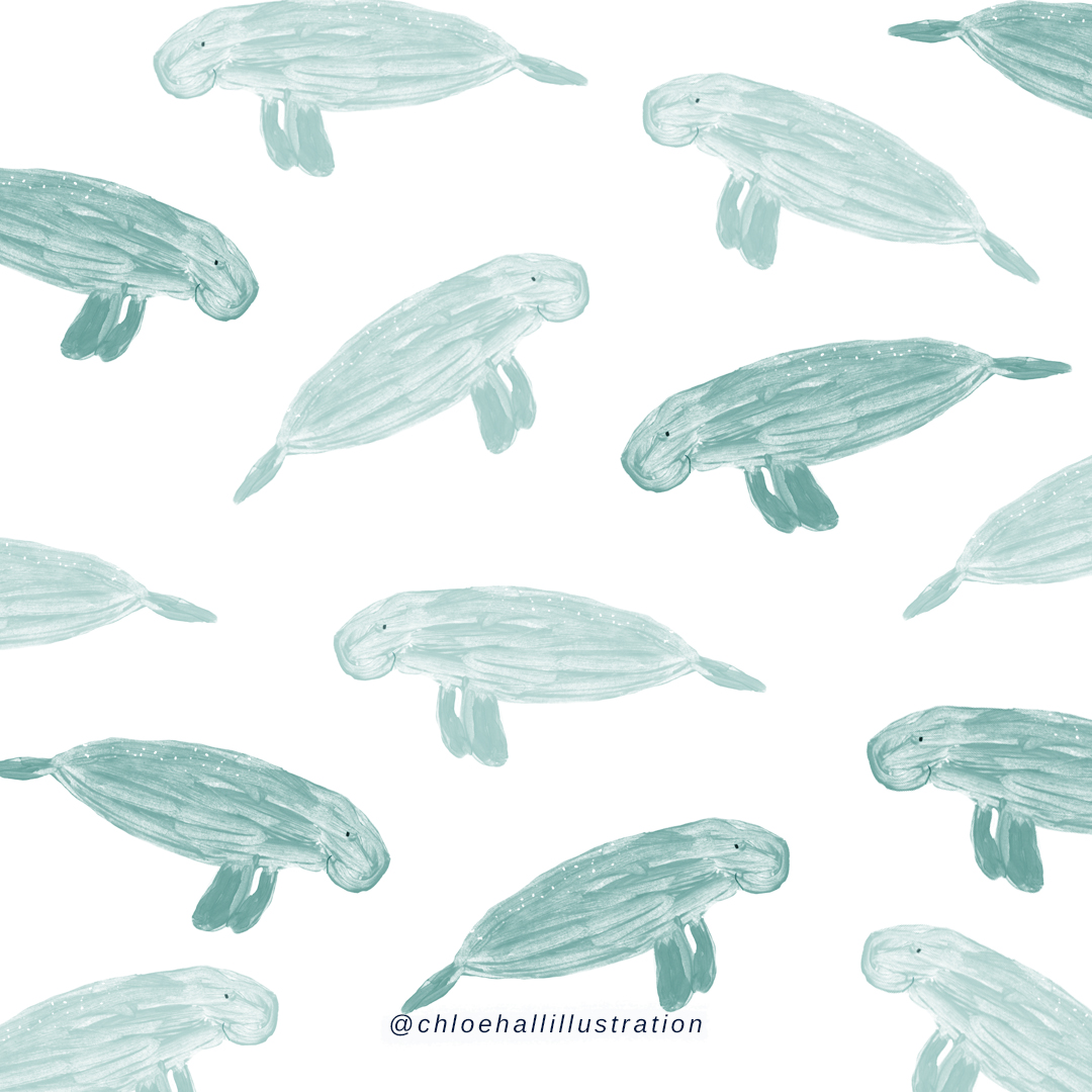 Painted dugongs arranged in an all over pattern in varying shades of turquoise-grey