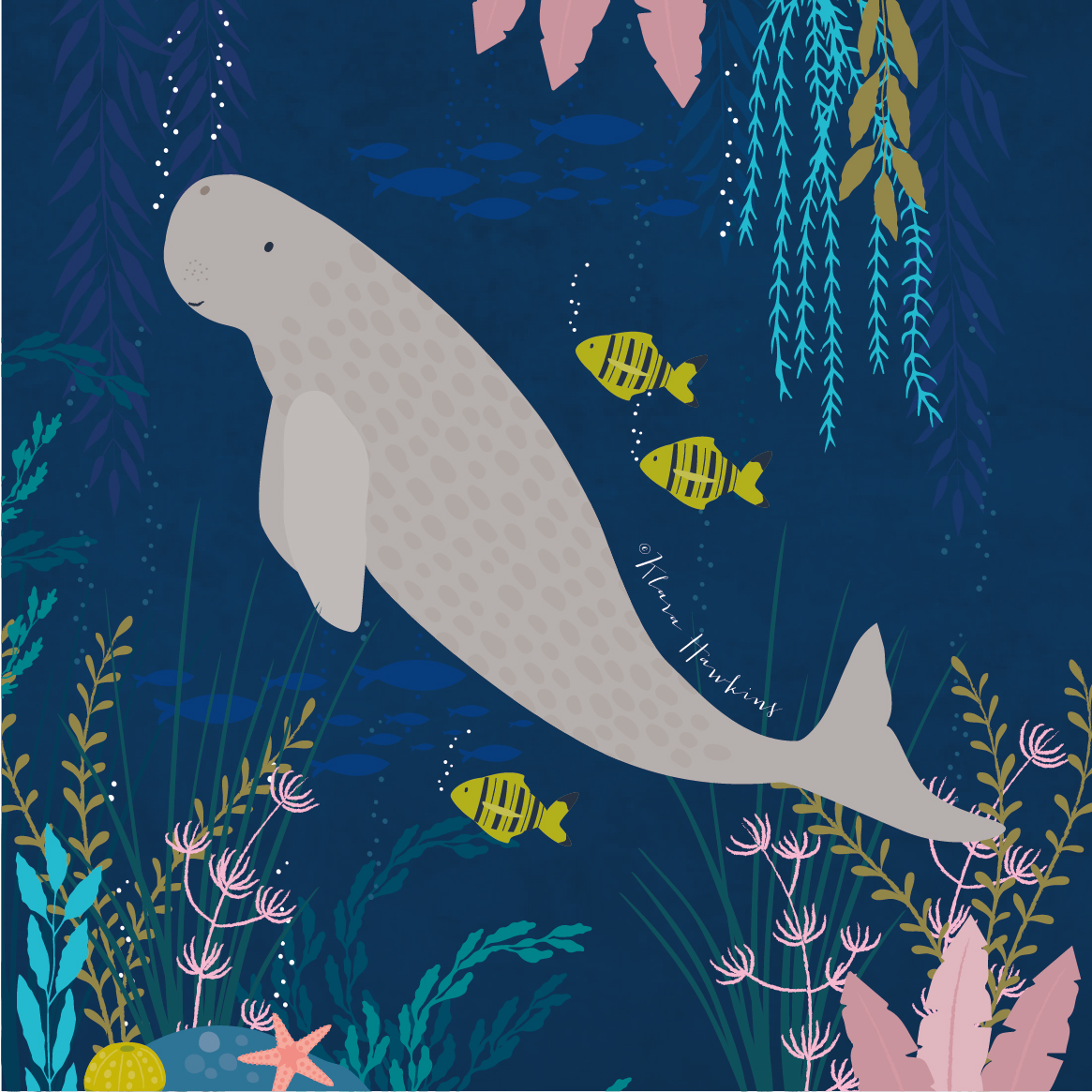 A big grey dugong on navy blue background, with bubbles coing from its protruding nose. The background includes lighter blue and yellow sea kelp and other grasses, a starfish, and three tropical yellow striped fish.