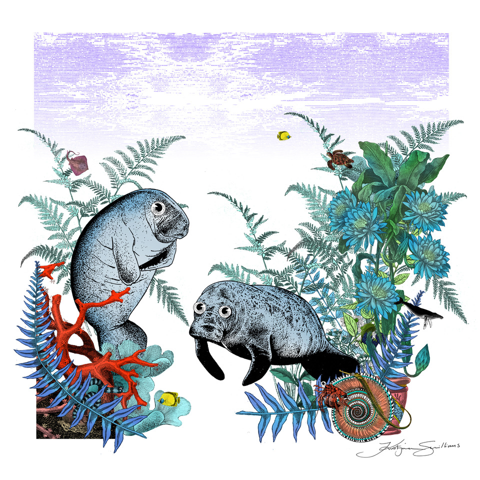 Two googly-eyed dugongs in greyish blue with black shadows, on an intricate background on sea ferns, and flowers, with bright red coral and a fossil-spiral shape in orange in each corner.