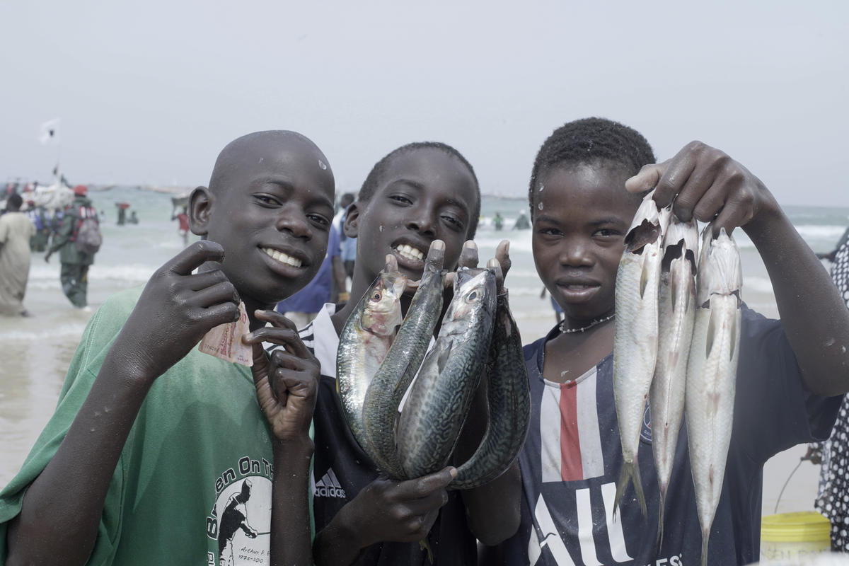 Three Senegalese kids show the camera handfuls of fish
